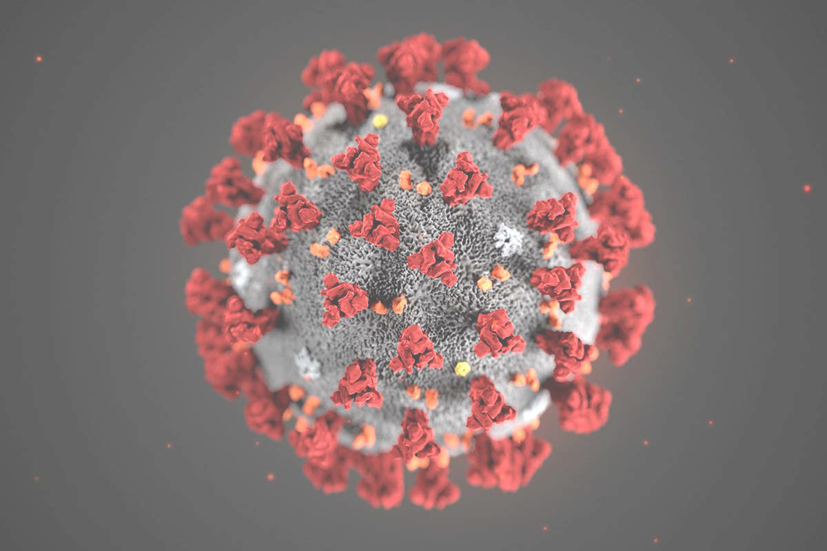 Covid-19; Pandemic; Virus; Science